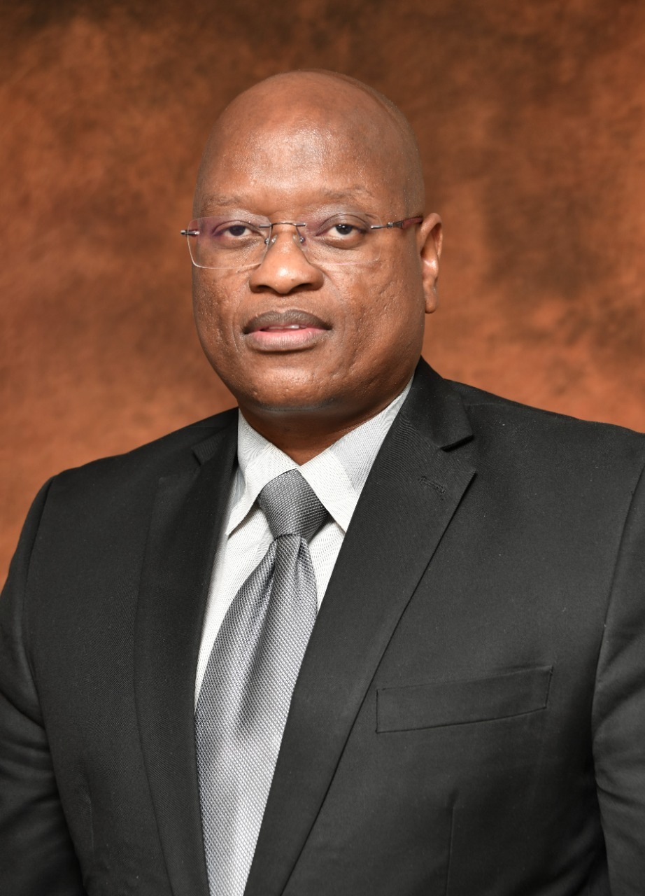 Dr Michael Masiapato Africa Ppp 16th Edition Of Africa Ppp